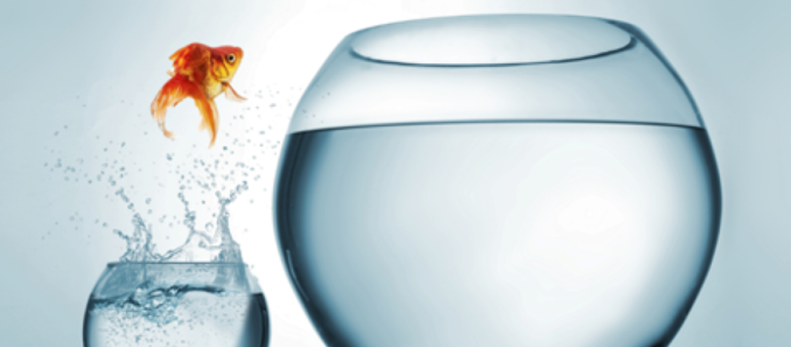 Setting and Achieving Audacious Goals